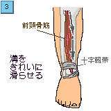 下肢（すね、ふくらはぎ）のセルフマッサージ３：Chua'Ka チュアカ 心と体を癒すセルフマッサージ：町の按摩さん.com